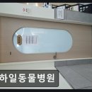 하일동물병원
