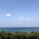 단양한우 목장 이미지