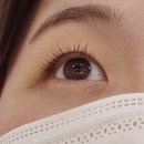 하이 실리아