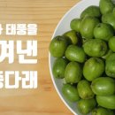 연화농원 이미지