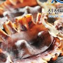 신선물산