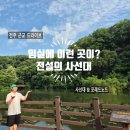 전주 근교 드라이브 추천! 임실 사선대 데크길 산책과 포레드노드 카페 후기