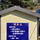 지리산풍경 | [전남 구례] 지리산 치즈랜드 수선화 후기