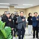 드림골프클럽 Daum카페