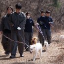 녹십자수의약품 주식회사 이미지