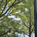 목동서로10길 이미지