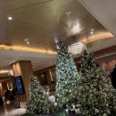 한스엔N | [서울 호캉스] 롯데호텔 서울- 호캉스 꿀팁 및 후기 (n회 숙박)