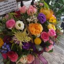 로젠코지 - 관악구 국회단지2길 27 | 로젠코지