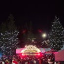 스노우마운틴 | 밴쿠버 그라우스 마운틴(Grouse Mountain) 100주년 새해 이벤트! 셔틀 지옥 탈출 & 무료 스노우슈잉 후기