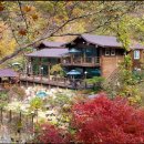 아침향기 이미지