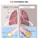 이비인후과만 다니면 해결될 줄 알았는데, 왜 매번 똑같을까?