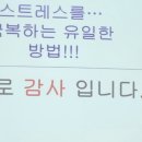 이연희힐링아카데미 이미지