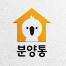 통광고기획 이미지