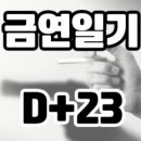D-23 이미지