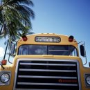 카매니지먼트 이미지