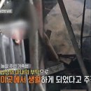 남성농장 이미지