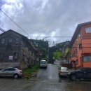 몬트(Montt)