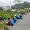 하늘비단마을(도리) 이미지