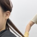 감삼동341 이미지