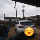 신안 우전 설레미 캠핑장 이미지