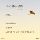 노고지리 이미지