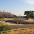 상하이베이 이미지