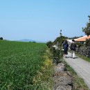 가파초등학교 병설유치원 이미지