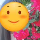 백만송이 | 부천 백만송이장미원 후기🌹/ 멀리 가지 않아도 좋은 하루(5/31)