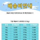 이로이로 이미지