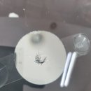 다온다자동차유리광주점 | 광주자동차유리복원 업체에서 깔끔하게 정리