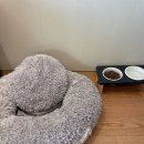 호텔 그랜드 스위트 이미지