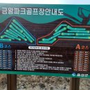 금왕파크골프장 Daum카페