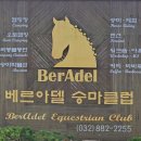 베르아델 | 대부도 캠핑장 어떤 곳일까? 말 체험·갯벌·초원을 한 번에 즐기는 대부도베르아델캠핑장