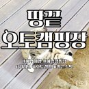 땅끝 오토캠핑장_전남여행_해남여행_땅끝마을여행_오토캠핑_카라반캠핑