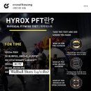 크로스핏 오송 이미지