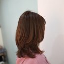 노랑머리미용실 - 서귀포시 | 노랑머리미용실