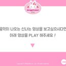 콩지pc 네이버블로그