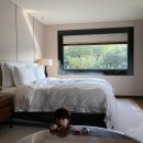 선우덴탈 | 서울신라호텔 그랜드 코너 디럭스룸 호캉스, 남산타워 케이블카