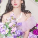 루체드 이미지