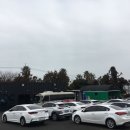 대한렌트카 이미지