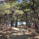 돈달산 이미지