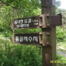회관농장 이미지
