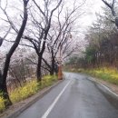 그리움한잔 이미지