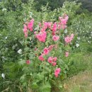 풍경시골 이미지