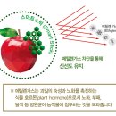 ㈜탑프레쉬 이미지