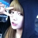 일진수지 이미지