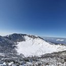 향기나꼬꼬 이미지