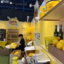 해피웰빙푸드 | [COEX] 2025 푸드위크 코리아 푸드박람회 토요일 방문 후기