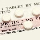 레오아빠동물약국 이미지