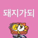 그린사랑방